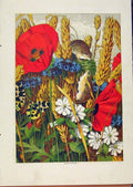 Original Old Antique Print Illustrated London Almanack Mice In Flowers Color