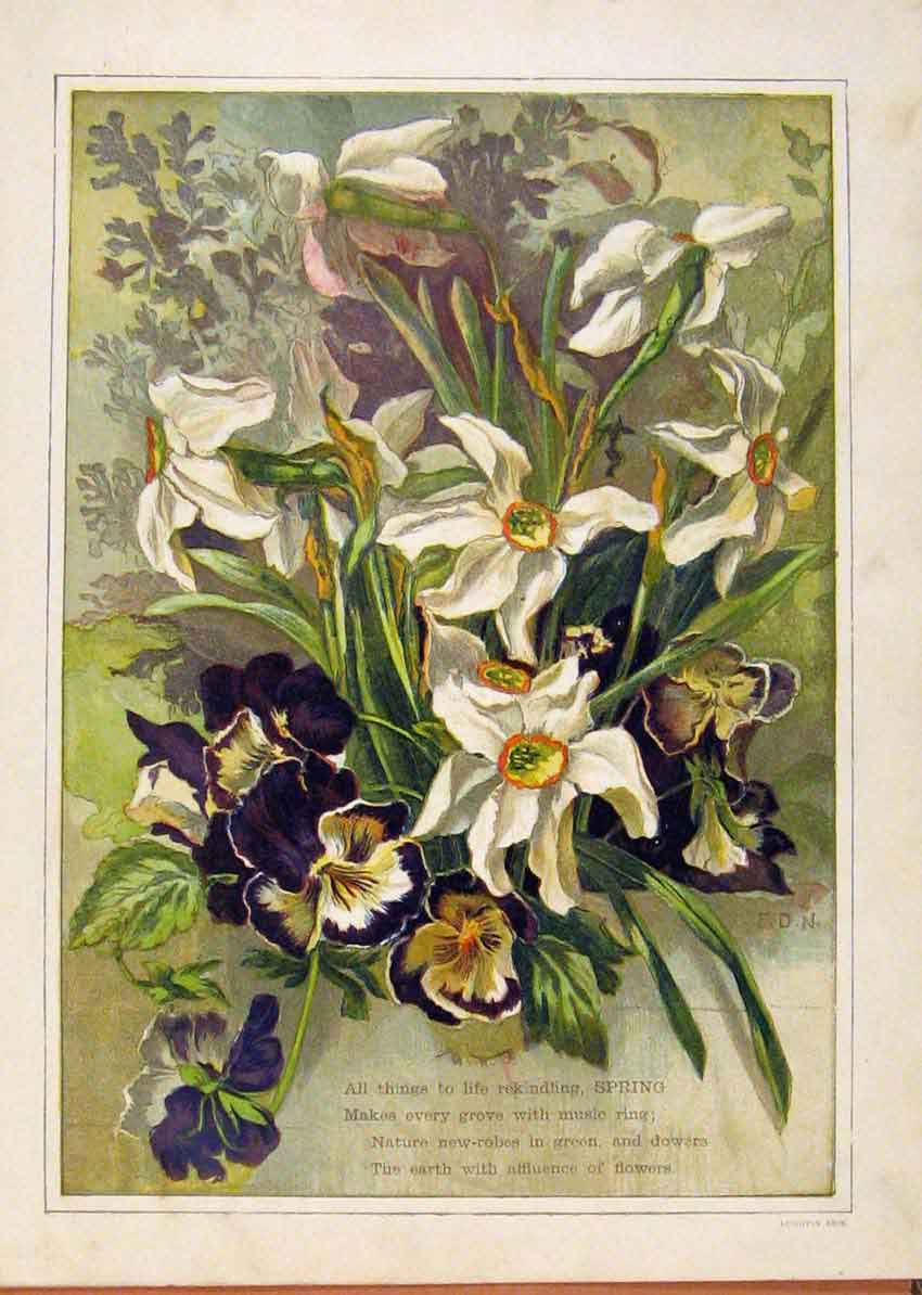 Old Antique Print Illustrated London Almanack Spring Floweres And Beauty