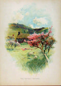 Original Old Antique Print Illustrated London Almanack Cotters Orchard Color