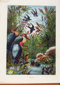 Original Old Antique Print Illustrated London Almanack Morning Birds At The Pond
