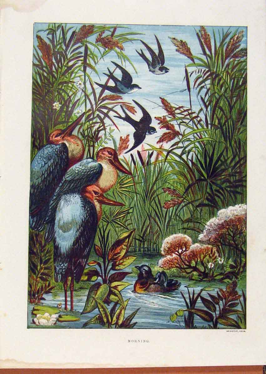 Original Old Antique Print Illustrated London Almanack Morning Birds At The Pond