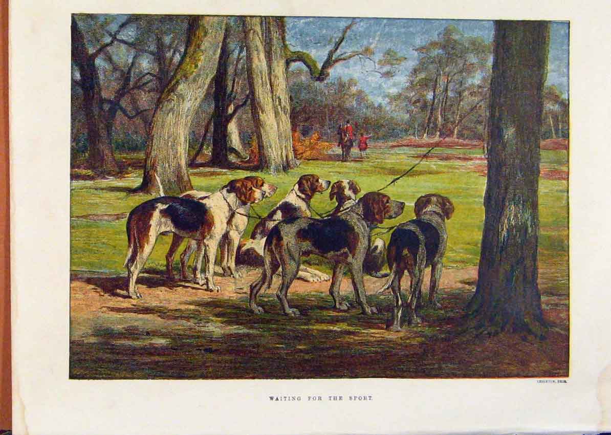 Original Old Antique Print Illustrated London Almanack Waiting For The Sport Fox