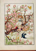 Old Antique Print Illustrated London Almanack Apple Blossom Child In Tree