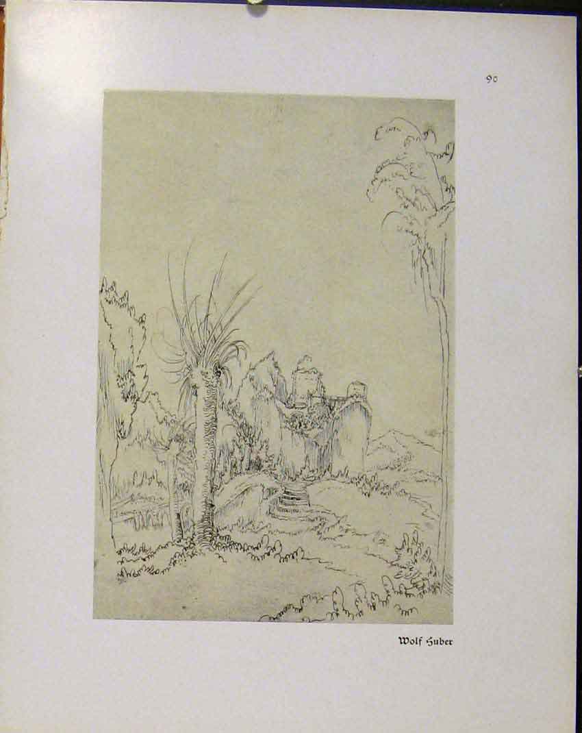 Original Old Antique Print German Drawings Wolf Suber Landscape