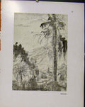 Original Old Vintage Print German Drawings Ultdorfer Village Sketch C1923 20th
