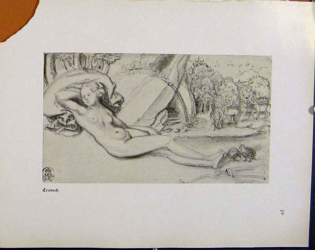 Original Old Antique Print German Drawings Sketch Lady Naked Lady By Rock