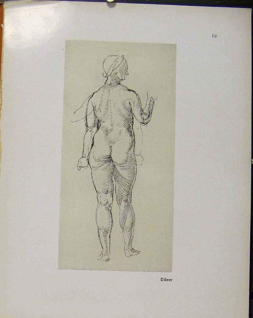 Original Old Vintage Print German Drawings Sketch Woman Naked C1923 20th Century