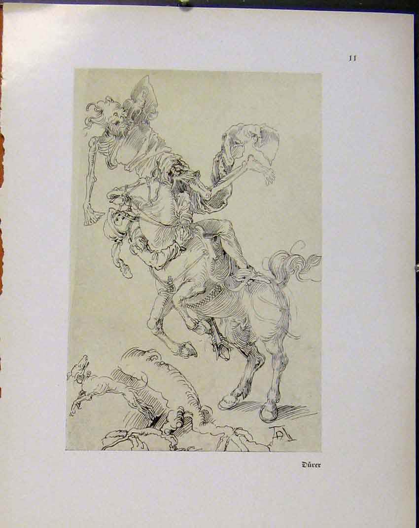 Original Old Antique Print German Drawings Durer Horse Bucking And Playing Up