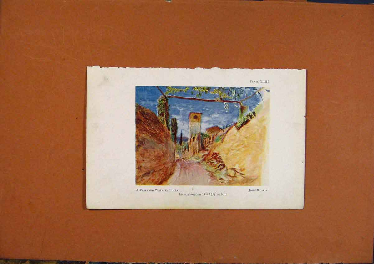 Original Old Antique Print Vineyard Walk At Lucca Fine Color Art 18th Century
