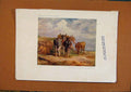 Original Old Vintage Print C1880-1924 Donkeys By James Ward 19th