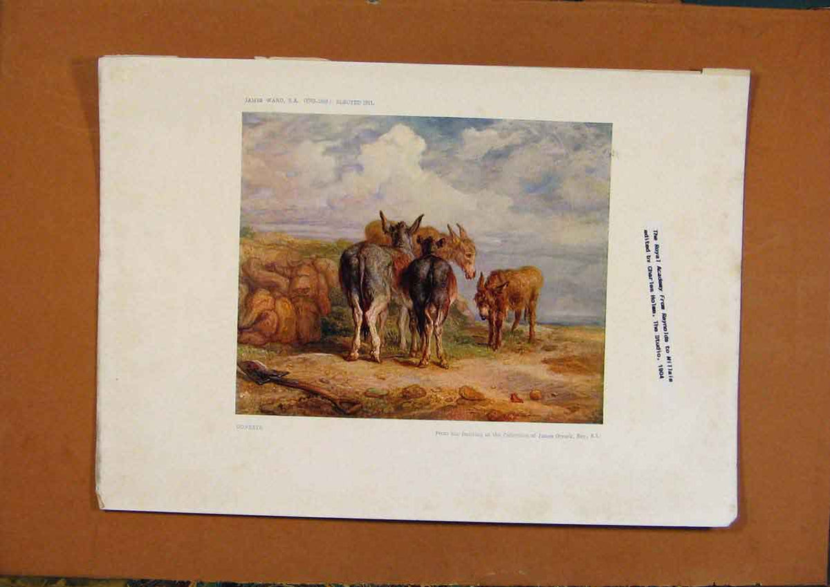 Original Old Vintage Print C1880-1924 Donkeys By James Ward 19th