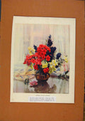 Original Old Vintage Print C1880-1924 Bemrose Color Gravure 19th