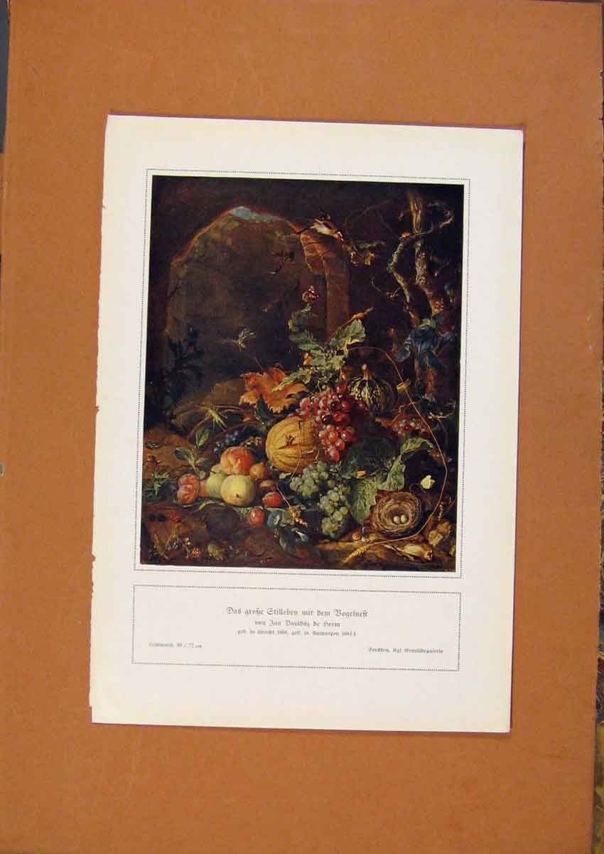 Original Old Antique Print German Art Das Grafze Gtilleben Mit Dem Bogelneft