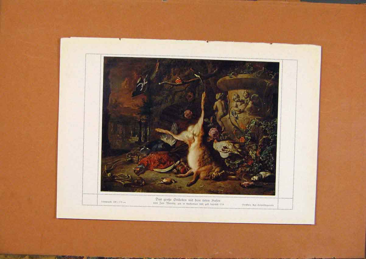 Old Antique Print German Art Das Grose Crilleben Mit Dem Toten Hasen Prin