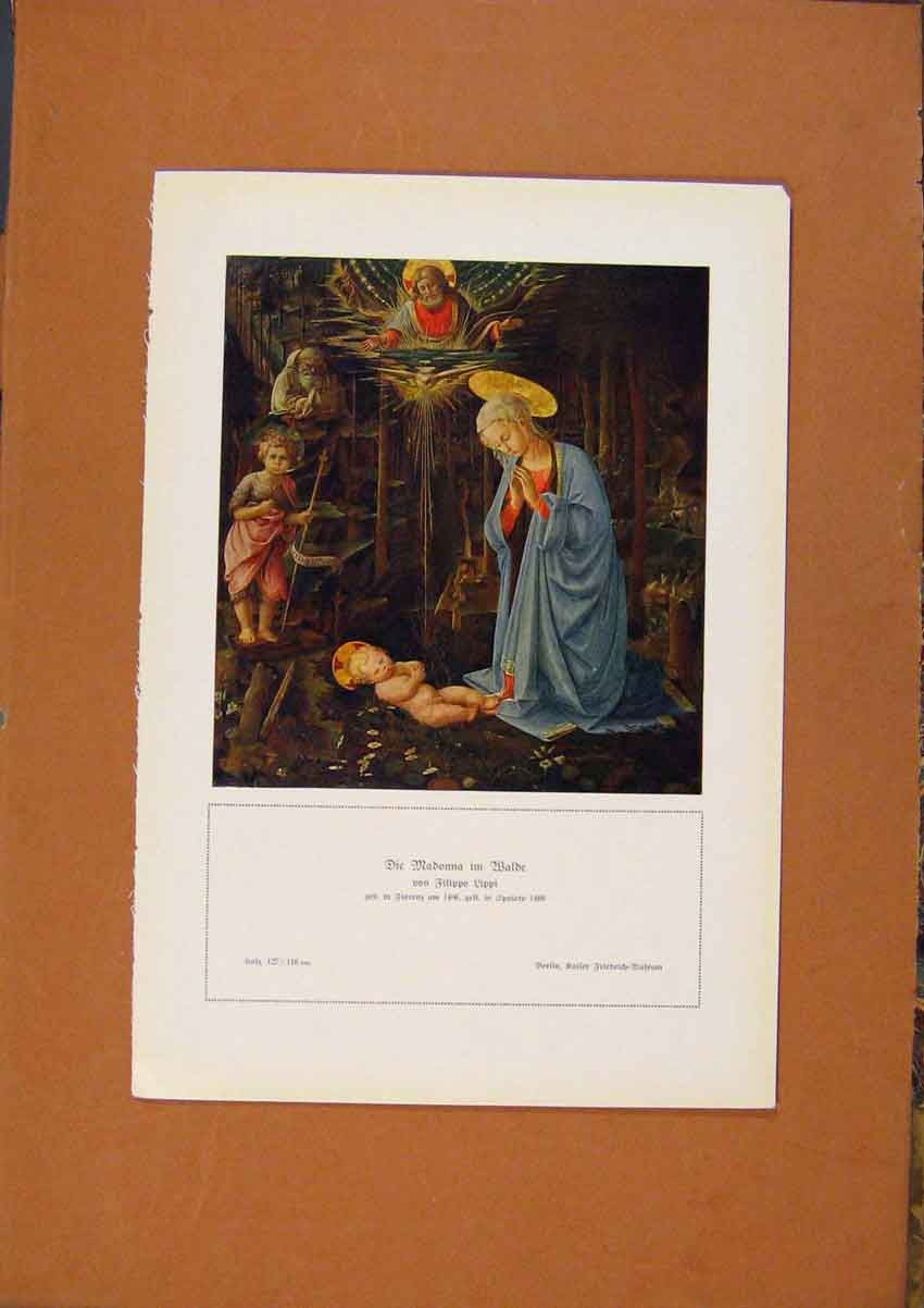 Original Old Antique Print German Art Madonna By Filippo Lippi C190 20th Century