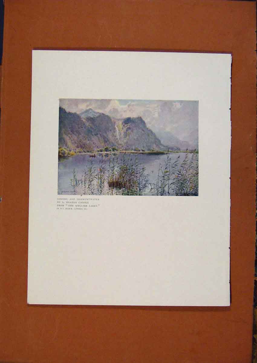 Original Old Antique Print The Connoisseur Lodore And Derwentwater By Cooper