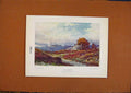 Original Old Vintage Print C1880-1924 Solitude By Wickham Color Art Victorian