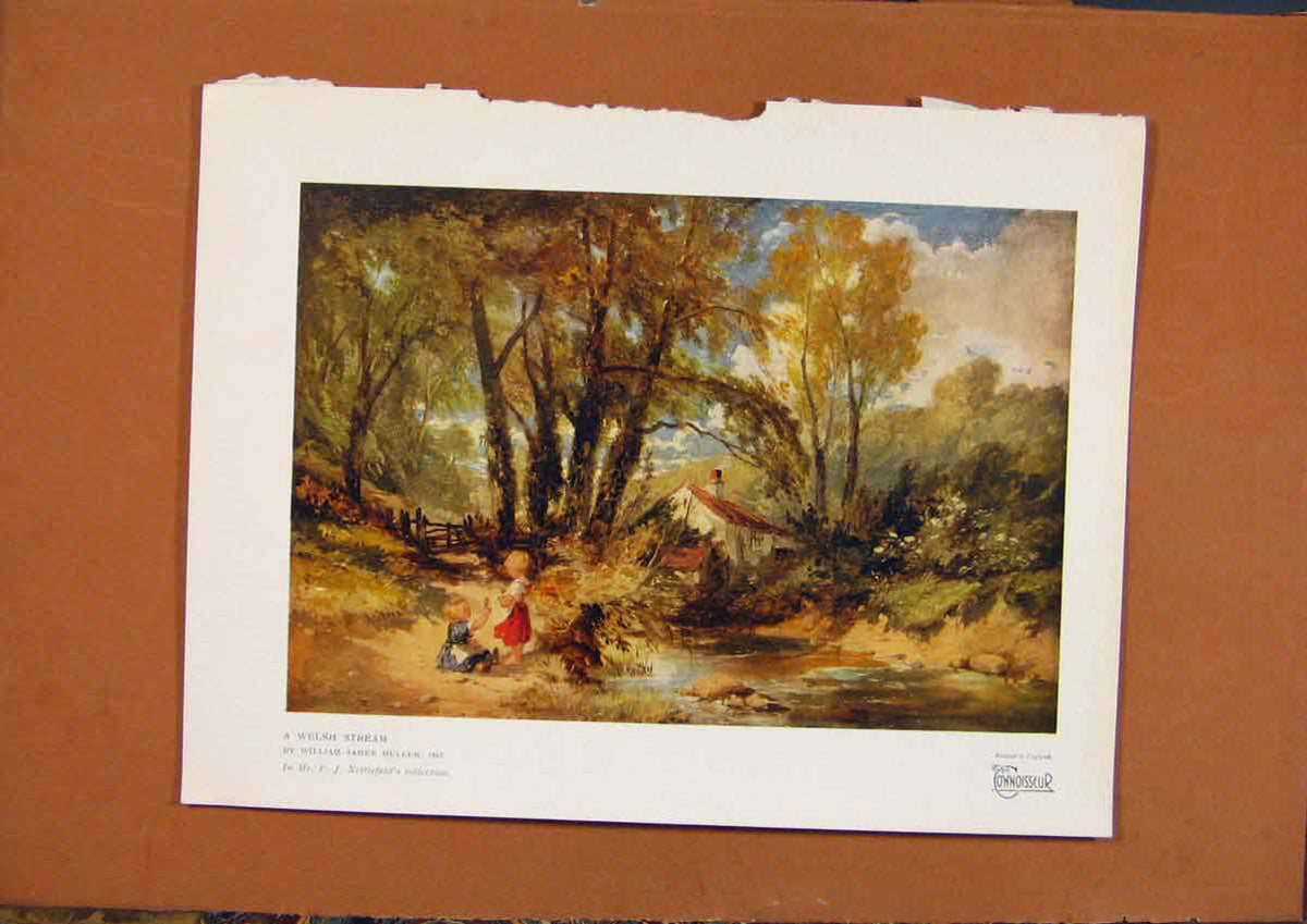 Original Old Antique Print The Connoisseur Welsh Stream C1902 20th Century