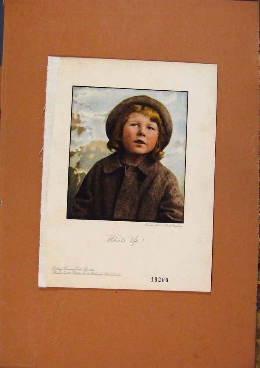 Original Old Vintage Print C1880-1924 Whats Up By Marcus Adams 19th