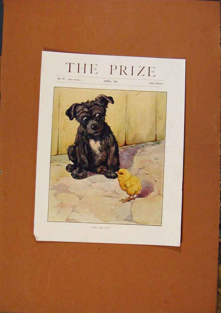 Original Old Vintage Print C1880-1924 The Prize April 1911 Color 19th