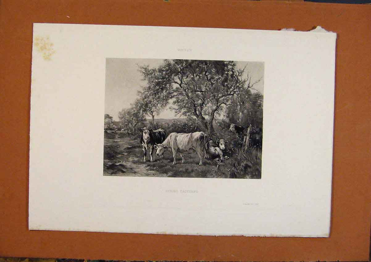 Original Old Antique Print Salon 1888 Watelin Spring Pastures Cattle Fine Art
