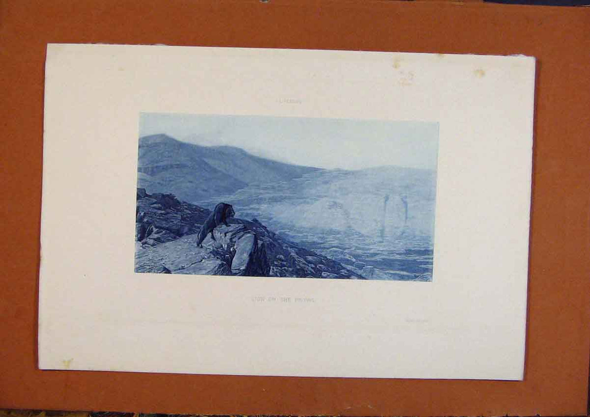 Original Old Antique Print Salon 1888 Lion On The Prowl J L Gerome Fine Art 19th