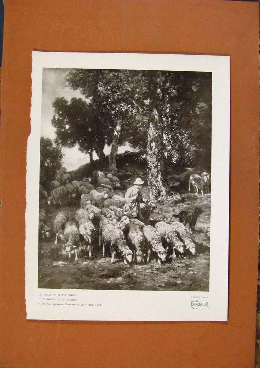 Old Antique Print Connoisseur 1902-1909 Landscape With Sheep By C Jacque 20th