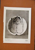Old Antique Print Connoisseur 1902-1909 Bowl Painted In Blue Persian Art 20th
