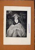 Original Old Antique Print C1880 Nellie Obrien Portrait J Reyns 19th