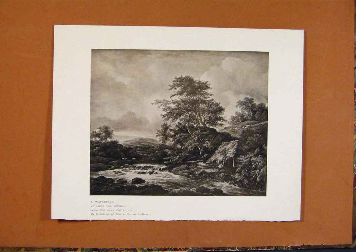 Old Antique Print *276 Connoisseur 1902-1909 Waterfall Jacob Van Ruysdael