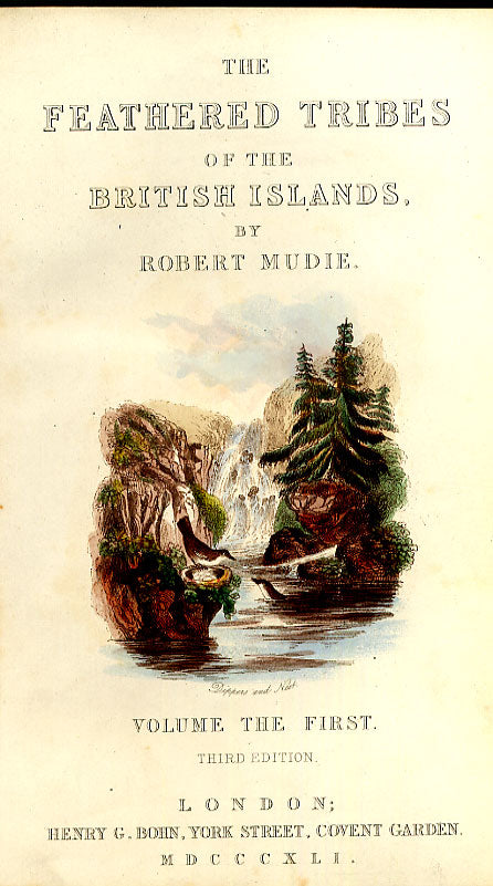 Old Antique Print Frontispeice Feathered Tribes Natural History 1841 Bird 19th
