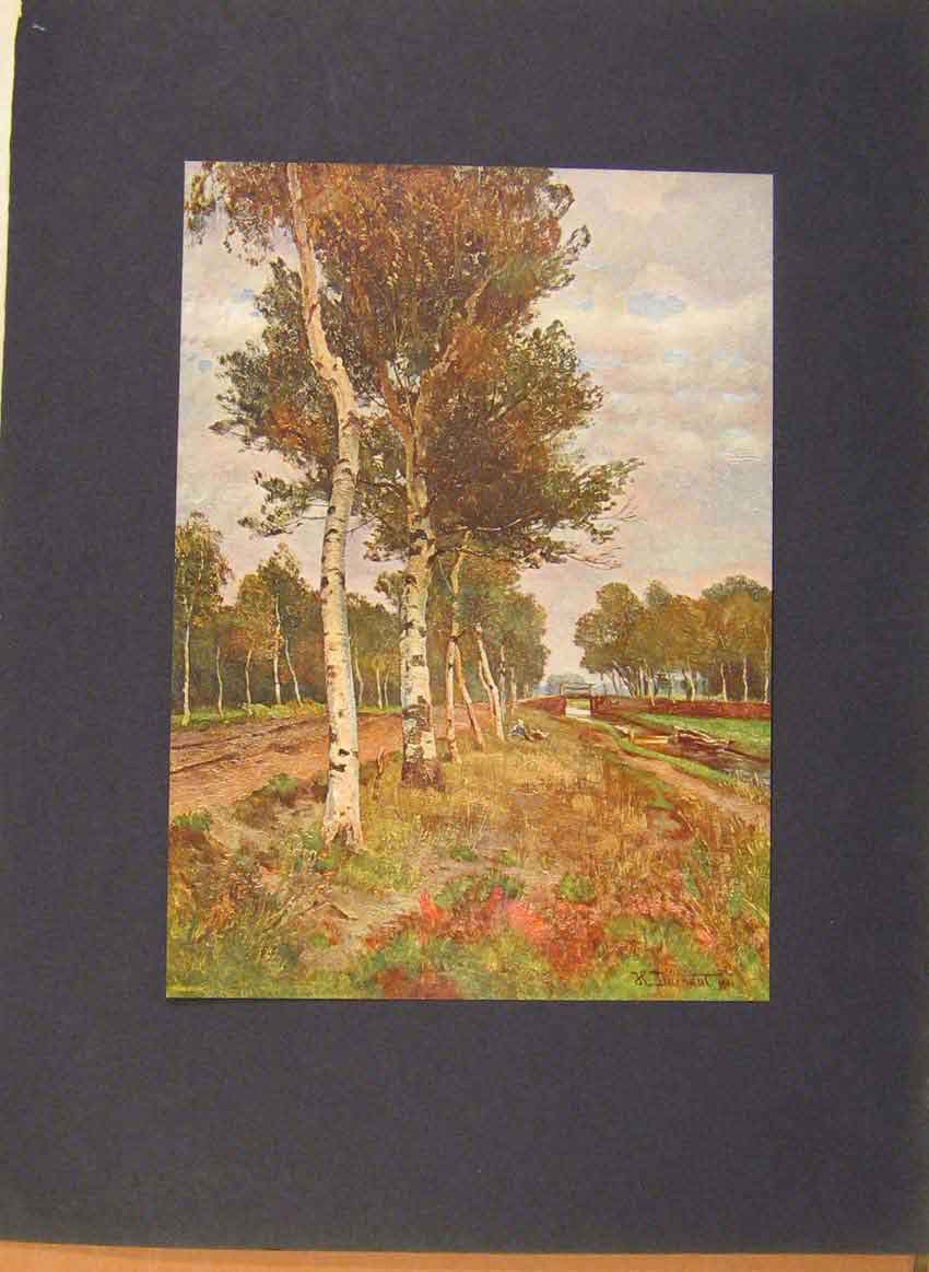 Original Old Antique Print German Art Sugo Darnaut Landfchaft C1900 Victorian