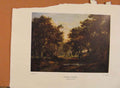 Original Old Antique Print NettlefCatalogue Patrick Nasmyth Edge Wood