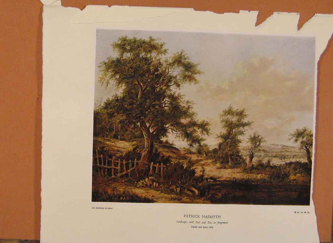 Original Old Antique Print NettlefCatalogue Patrick Nasmyth Landscape Pool