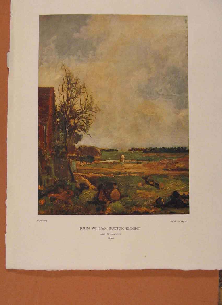 Original Old Antique Print NettlefCatalogue John Buxton Knight Rickmansworth