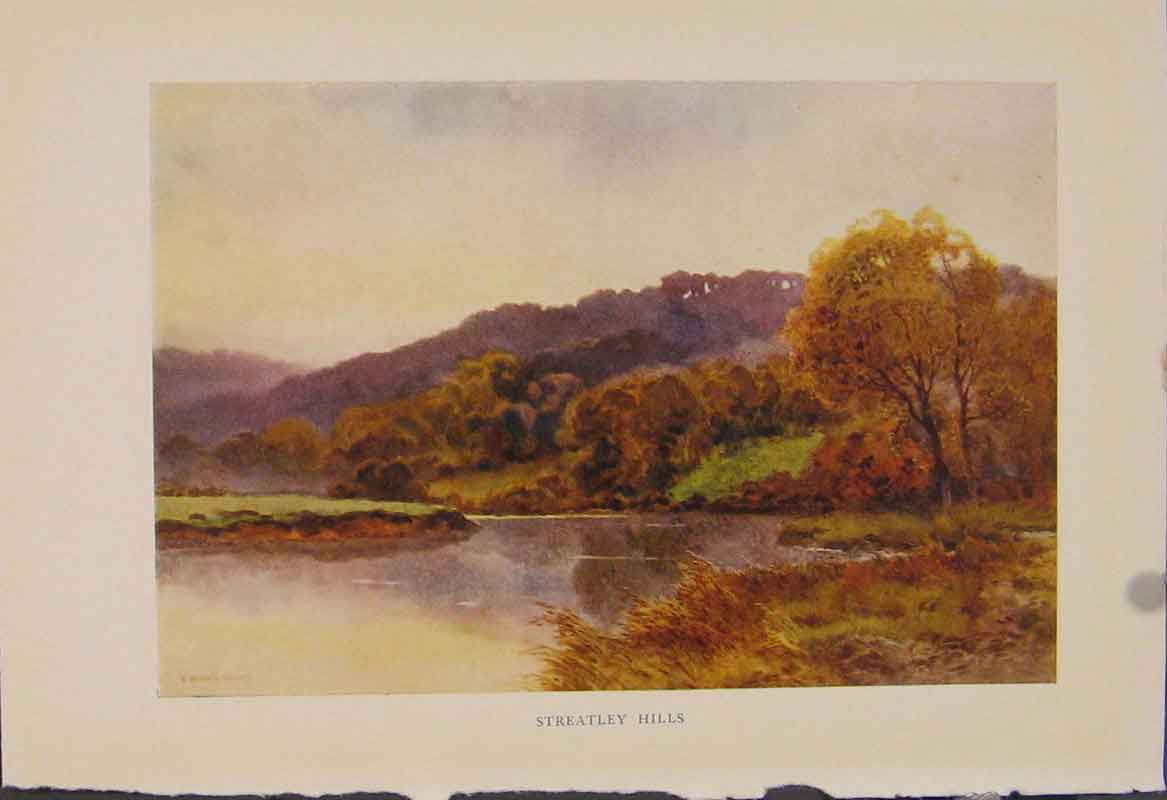 Original Old Antique Print Painting By Haslehust Streatley Hills