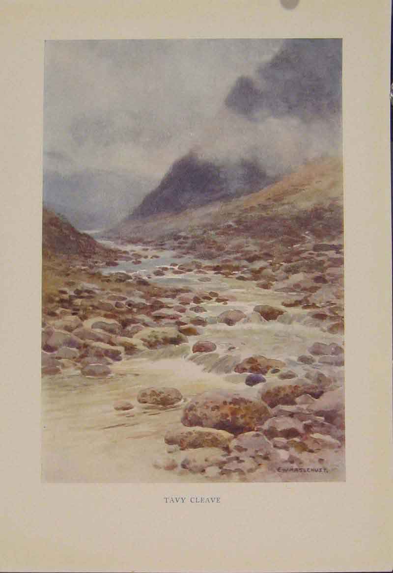 Original Old Antique Print Painting By Haslehust Tavy Cleave English Country