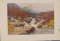 Original Old Antique Print Painting By Haslehust A Dartmoor Stream