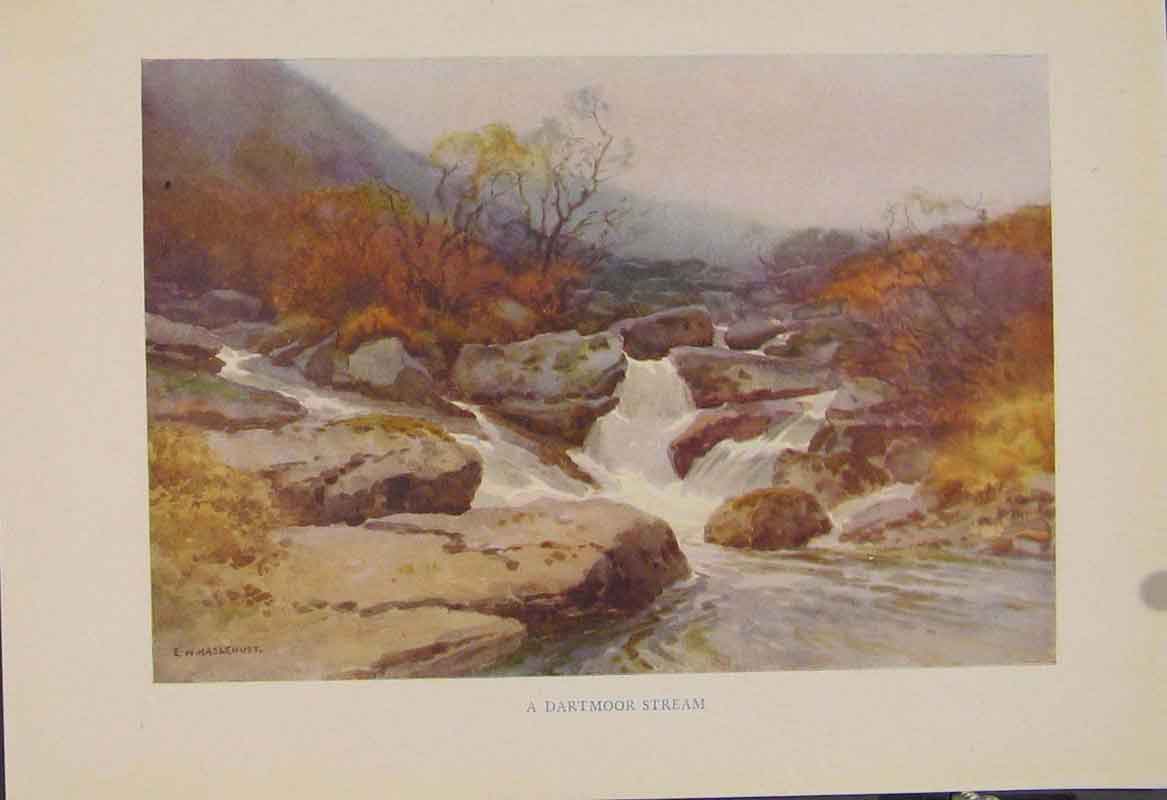 Original Old Antique Print Painting By Haslehust A Dartmoor Stream