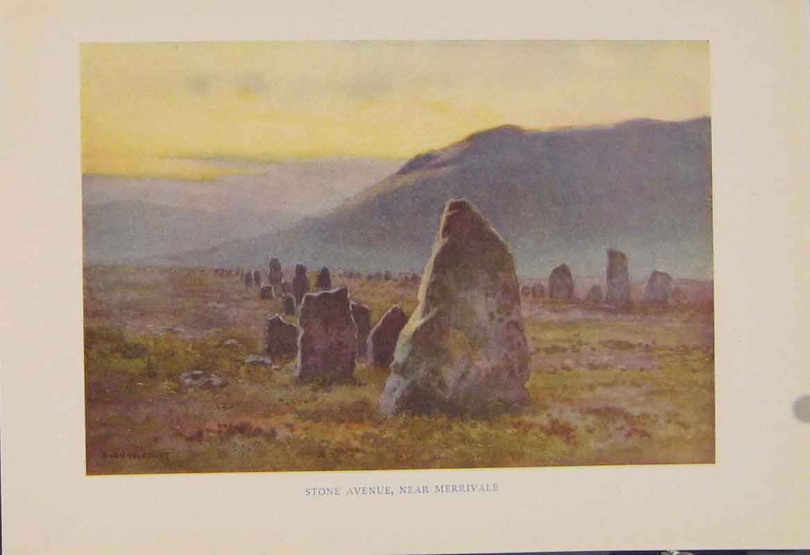 Original Old Antique Print Painting By Haslehust Stone Avenue Meerrivale