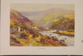 Original Old Antique Print Painting By Haslehust Dartmeet English Country