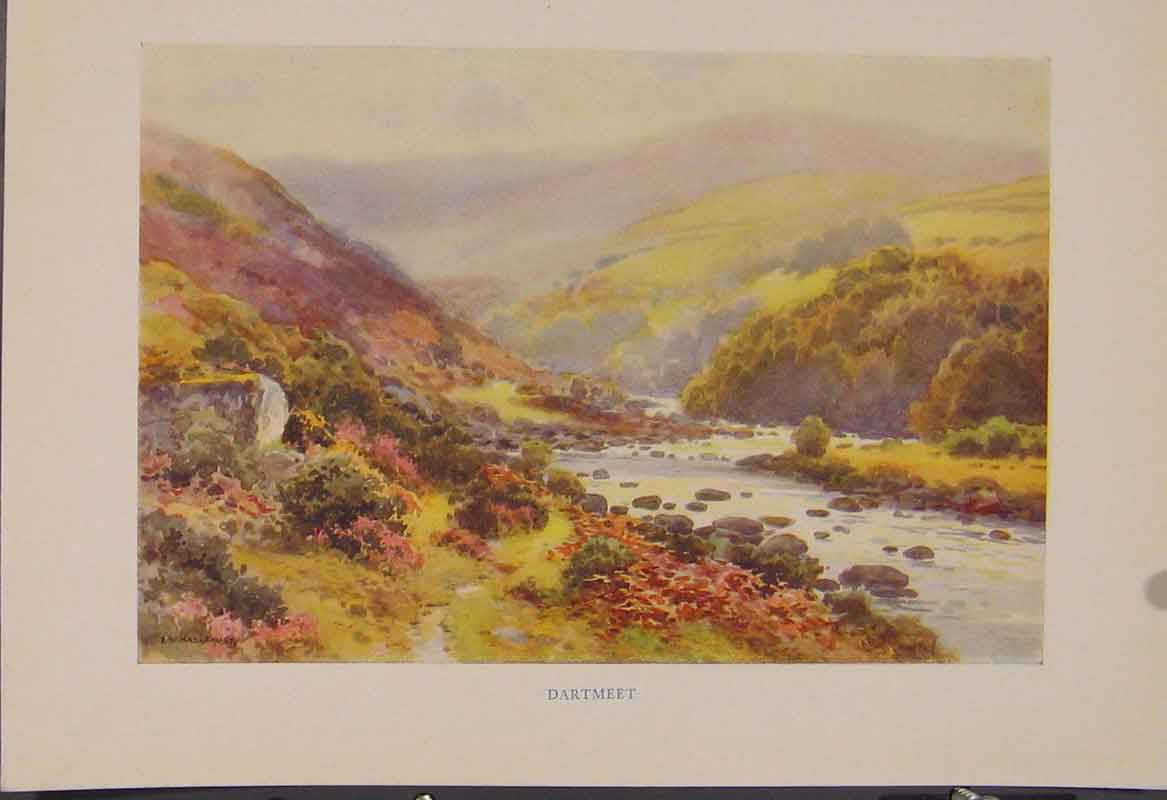 Original Old Antique Print Painting By Haslehust Dartmeet English Country