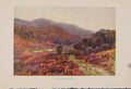 Original Old Antique Print Painting By Haslehust Broomy Water
