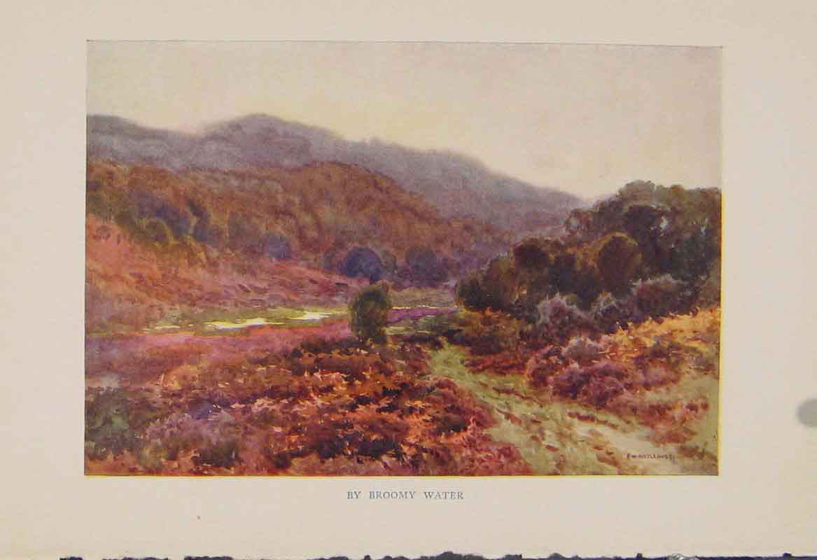 Original Old Antique Print Painting By Haslehust Broomy Water