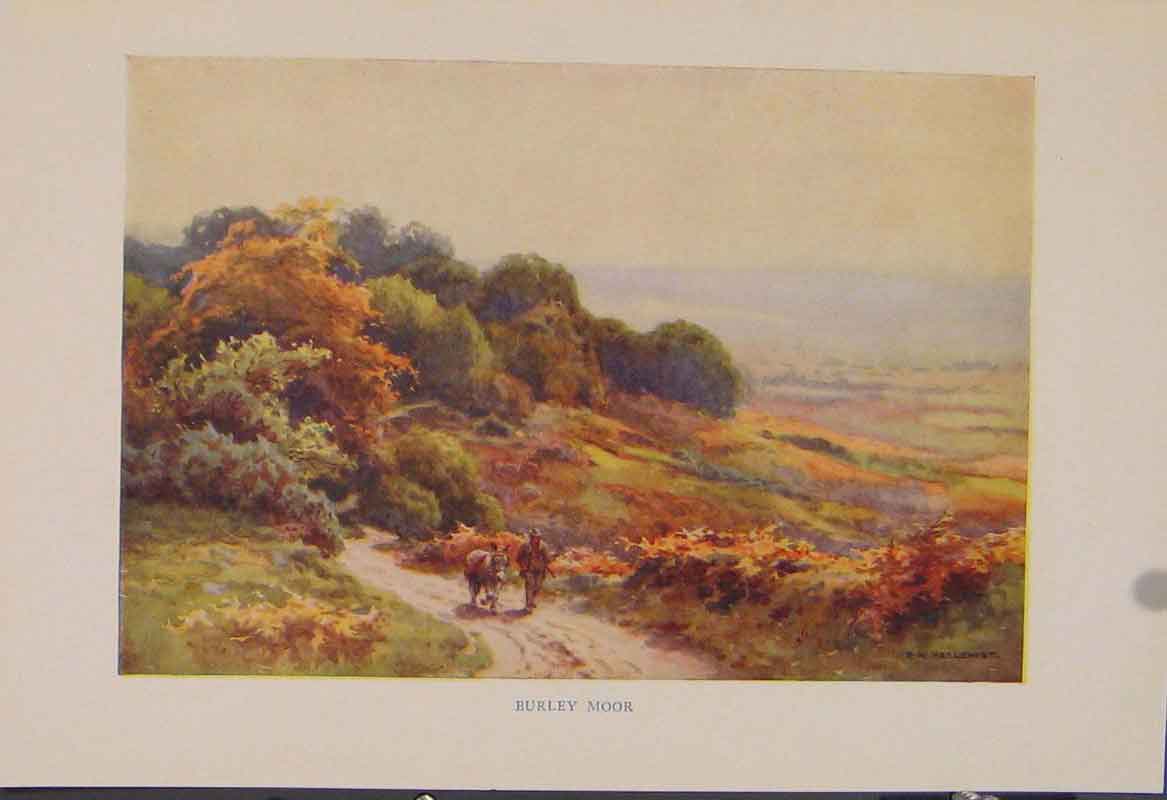 Original Old Antique Print Painting By Haslehust Burley Moor