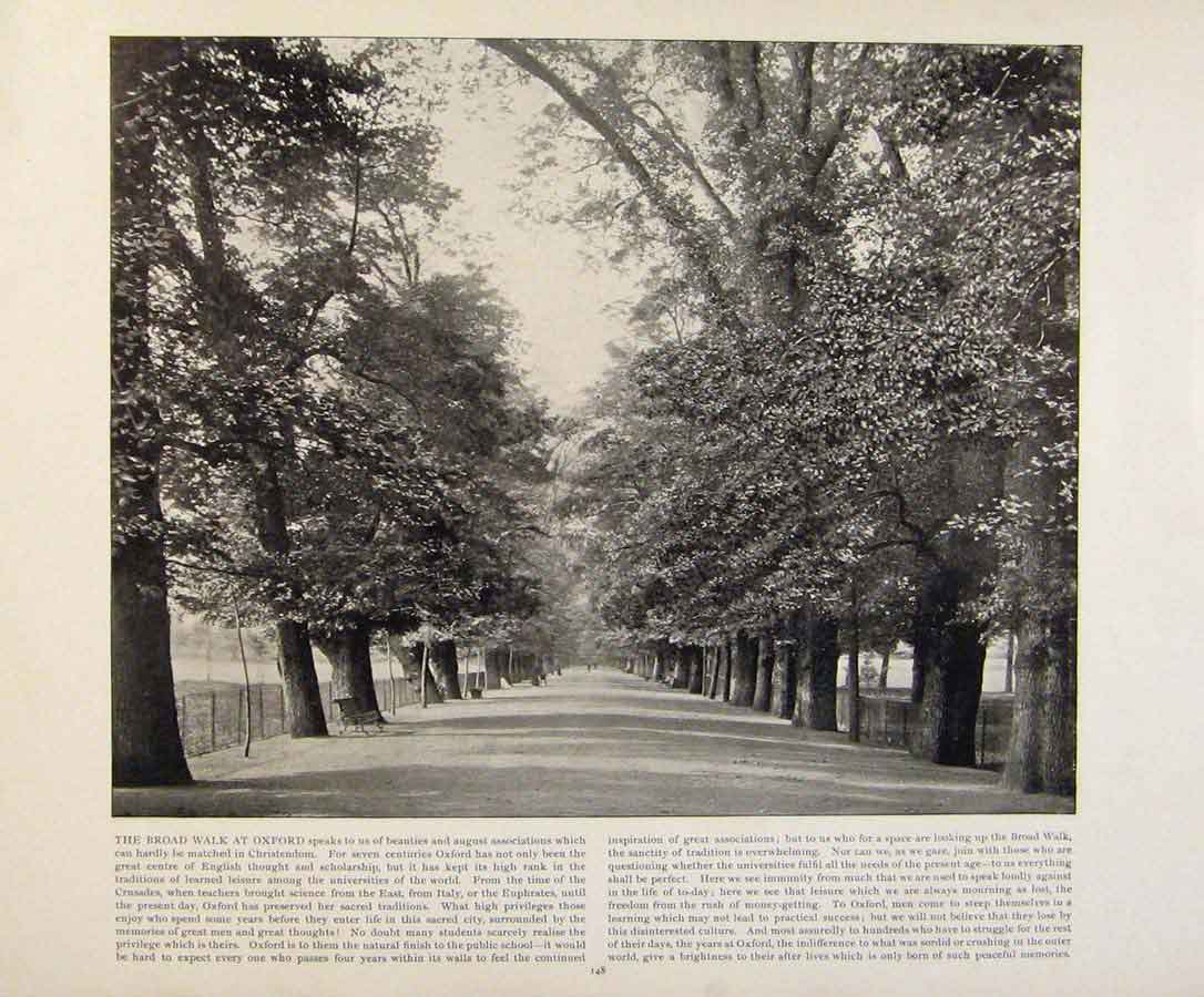 Original Old Antique Print Beautiful Britain The Broad Walk At Oxford Photograph