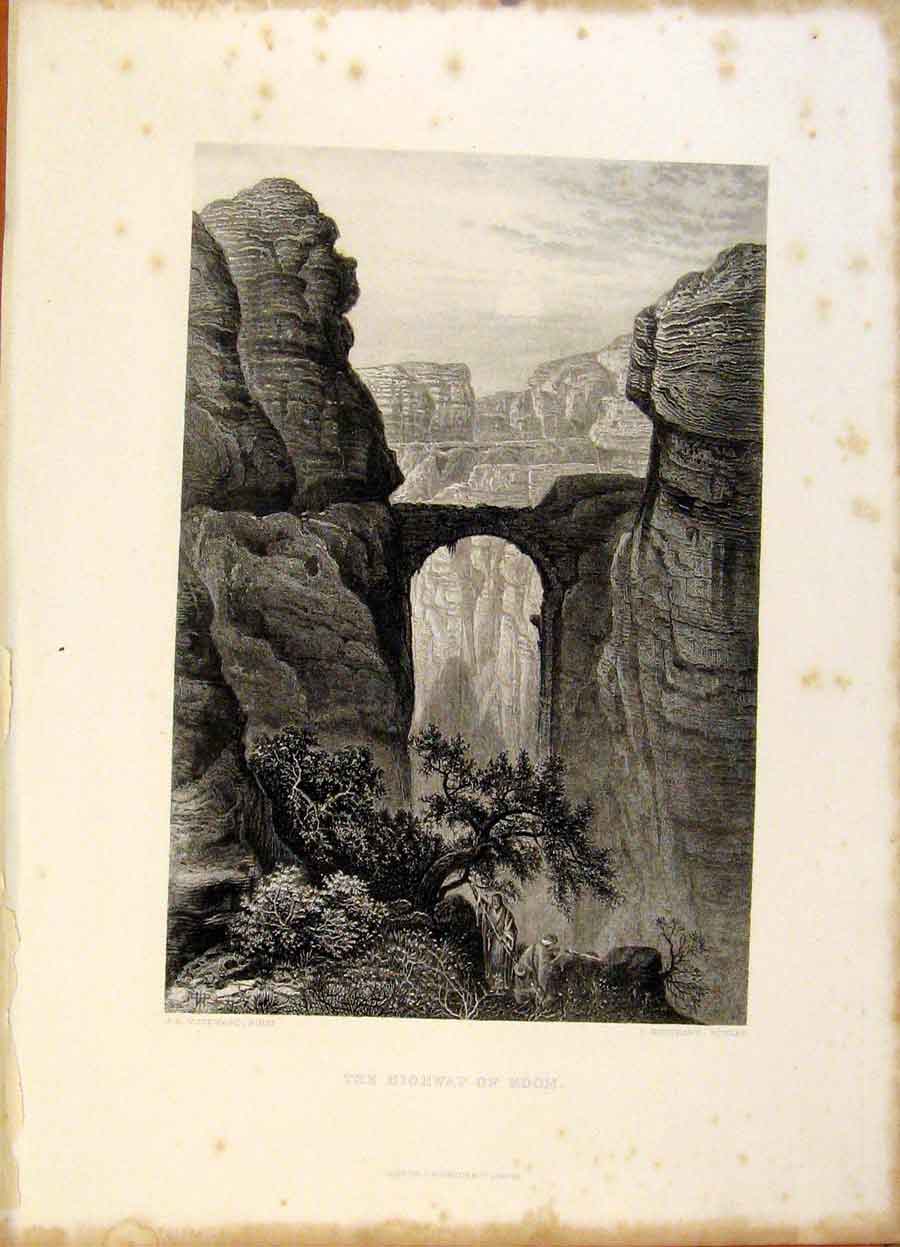 Original Old Antique Print The Holy Bible The Highway Edom Steel Engraving