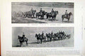 Original Old Antique Print Navy & Army Sword Fight Chestnut Team Battery Field