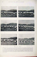 Original Old Antique Print Navy & Army Aldershot Gymnasium Staff Physical Drill