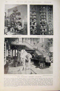 Original Old Antique Print Navy & Army Battle Relics Skull Alley Natural History
